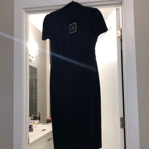 Maggy London short sleeved sheath dress